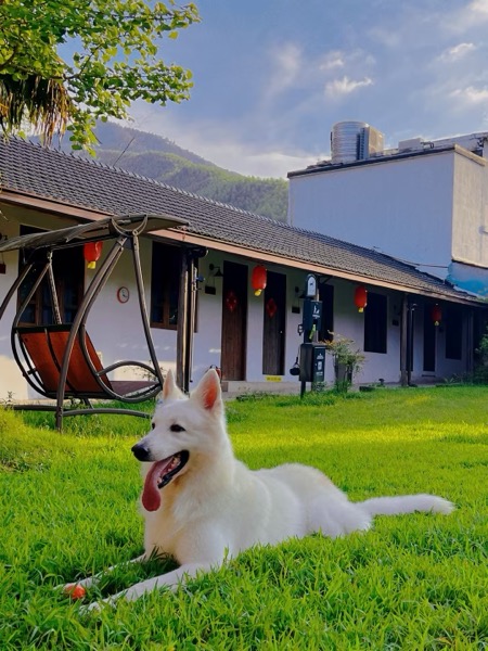 花筑·莫干山自然居·乡村四合院宠物度假民宿 · 有风小院·闲舍双床房