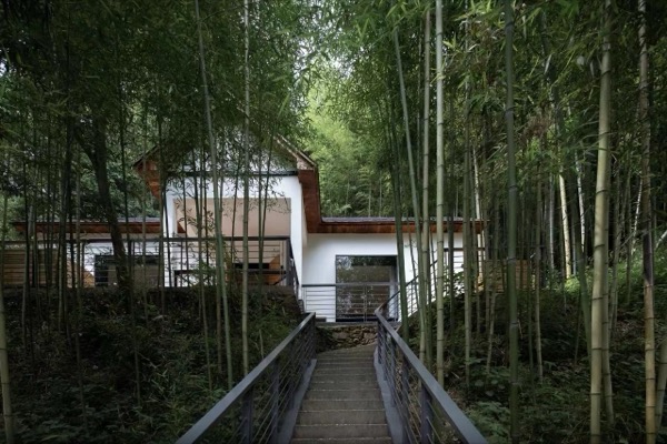 莫干山翠竹园·天真疗愈度假民宿 · 伍号楼私密小院包栋