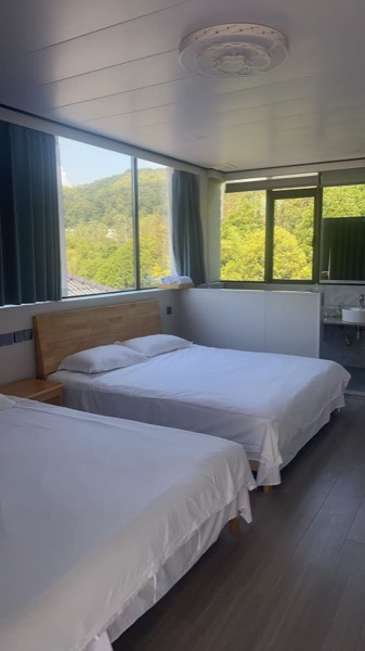莫干山花枝民宿（高山森林漂流店） · 高级双床房