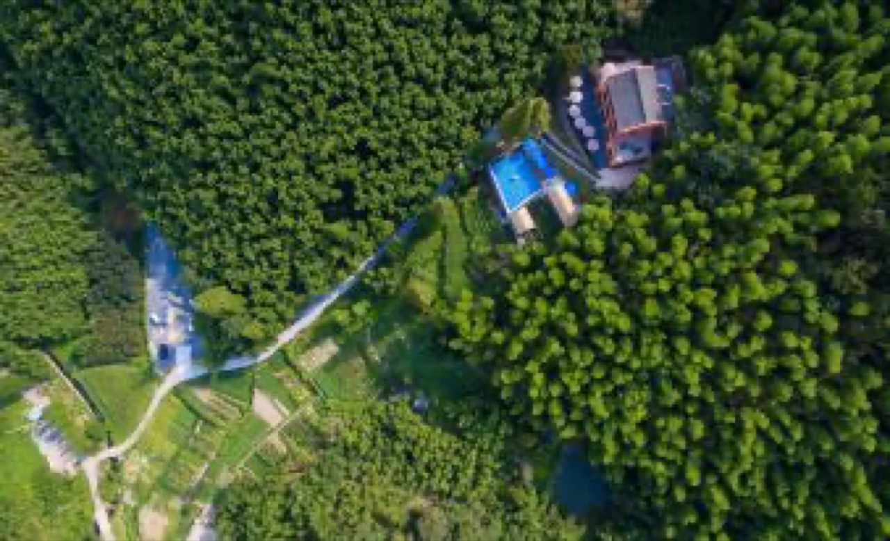 莫干山尚坡HotSpring温泉度假别墅 实拍图 2
