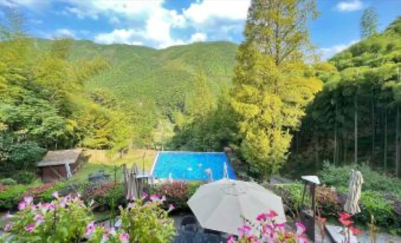 莫干山尚坡HotSpring温泉度假别墅 实拍图 3