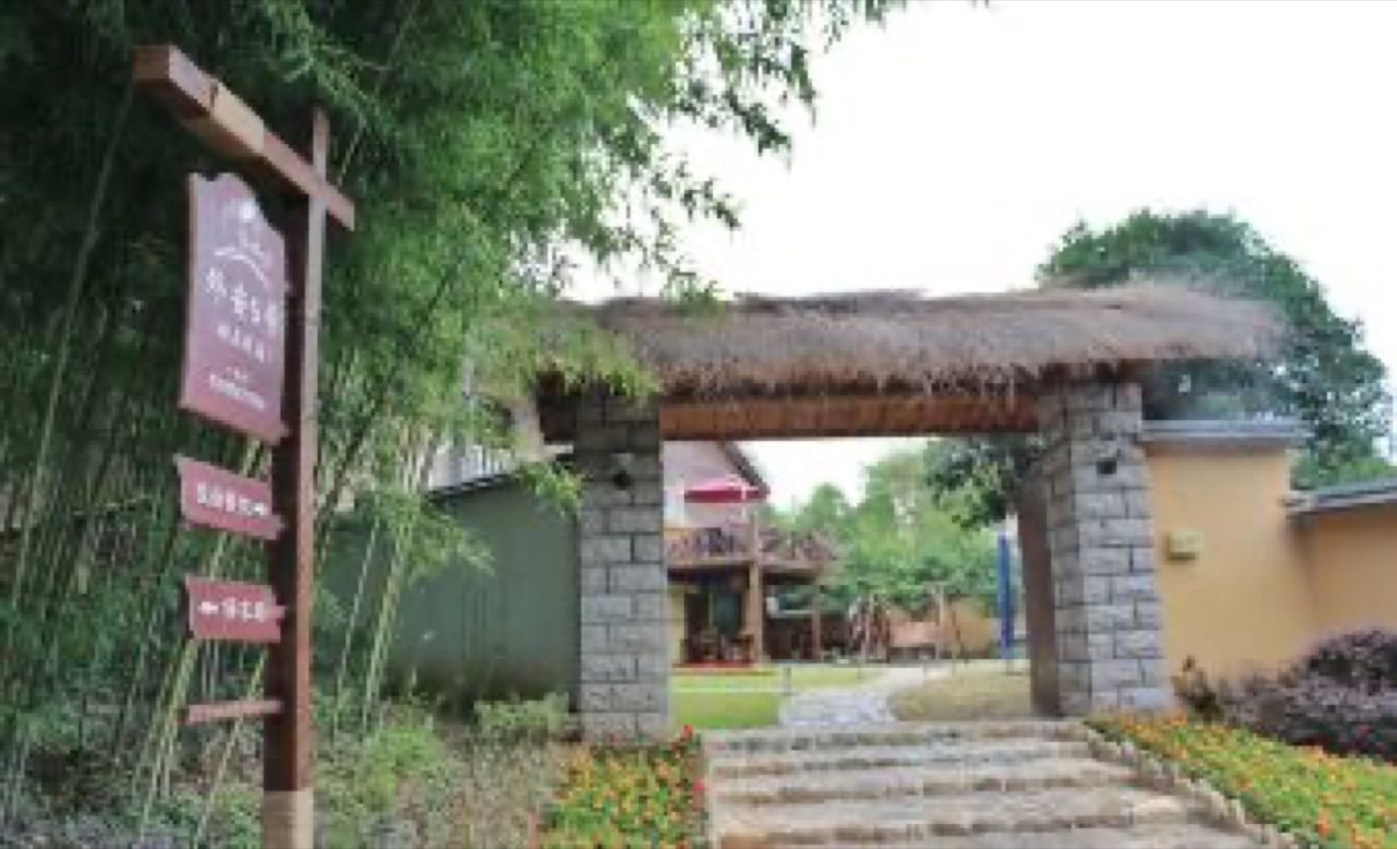 莫干山外安5号民宿（高山森林漂流店） 实拍图 3