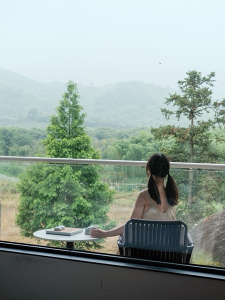 莫干山瀛轩温泉度假民宿 · 松·田园山景阳台房